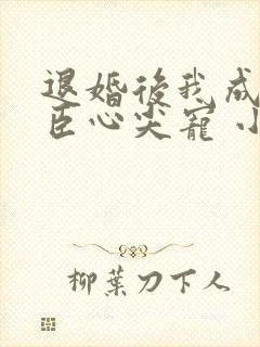 退婚后我成了权臣心尖宠 小说