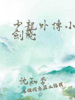 少龙外传小说龙剑飞