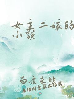 女主二嫁的古言小说
