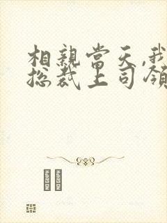 相亲当天,我和总裁上司领证了的