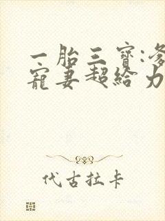 一胎三宝:爹地宠妻超给力