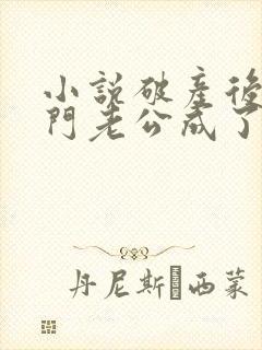 小说破产后,上门老公成了我的金主在线阅读