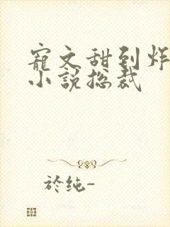 宠文甜到炸无虐小说总裁