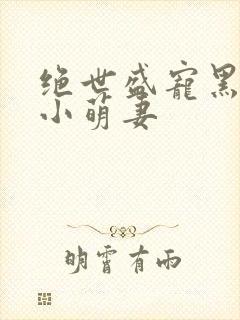 绝世盛宠黑帝的小萌妻