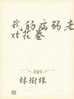 我的病弱老婆txt花卷