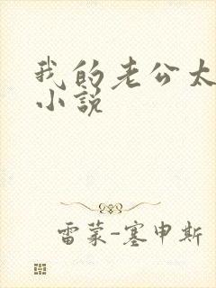 我的老公太猛了小说