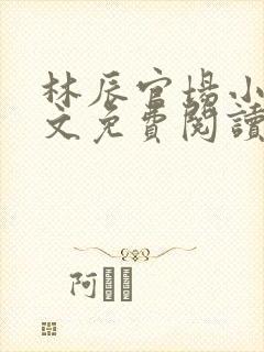 林辰官场小说全文免费阅读最新章节