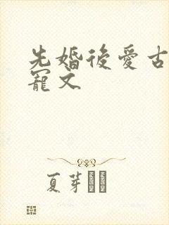 先婚后爱古言甜宠文