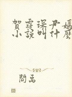 贺霆琛尹嫣原著小说叫什么名字