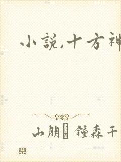 小说,十方神王