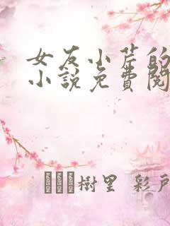 女友小芹的日记小说免费阅读