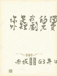 你是我的独家意外短剧免费全集免费播放