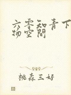 六零知青下乡储物空间