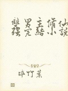 双男主修仙文双强完结小说推荐