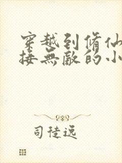 穿越到修仙界直接无敌的小说