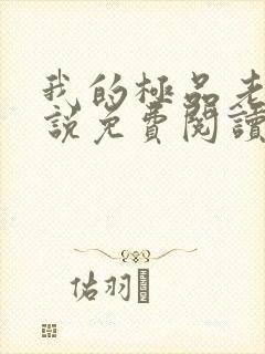 我的极品老婆小说免费阅读全文