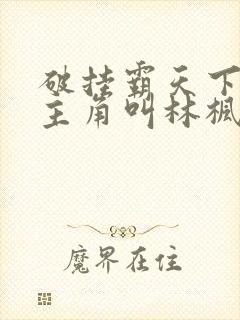 破挂霸天下小说主角叫林枫的小说