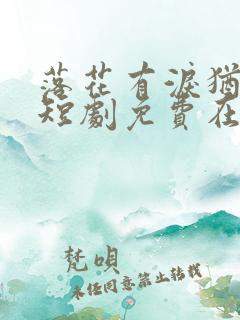 落花有泪犹带恨短剧免费在线