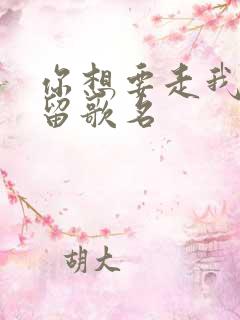 你想要走我不会留歌名
