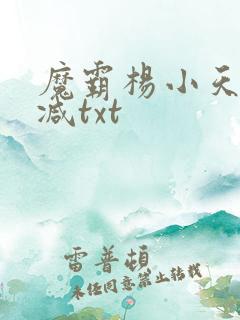 魔霸杨小天无删减txt