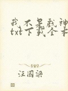 我不是戏神小说txt下载全本