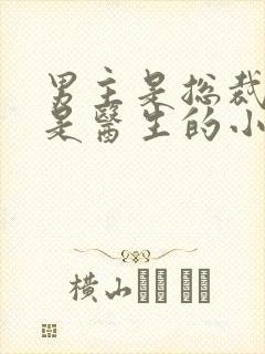 男主是总裁女主是医生的小说