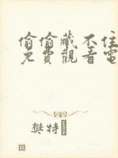 偷偷藏不住在线免费观看电视剧