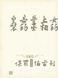 皇帝爱上女扮男装的丞相的小说