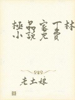 极品家丁林晚荣小说免费