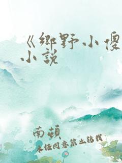 《乡野小傻医》小说