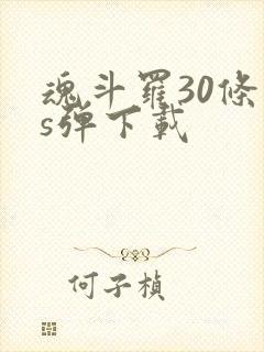 魂斗罗30条命s弹下载