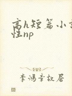 高h短篇小说双性np