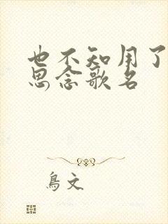 也不知用了多少思念歌名