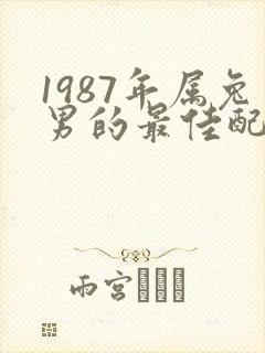 1987年属兔男的最佳配偶