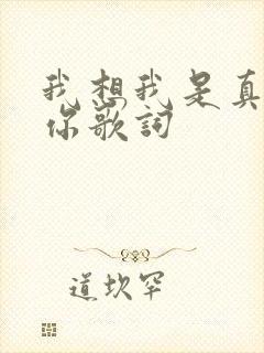 我想我是真的爱你歌词