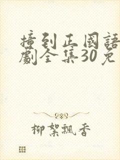 撞到正国语电视剧全集30免费观看
