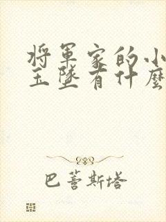 将军家的小娘子玉坠有什么秘密