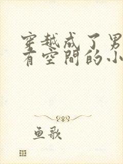 穿越成了男知青有空间的小说