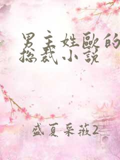 男主姓欧的霸道总裁小说