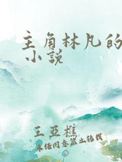 主角林凡的小说 小说