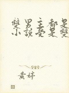 双男主都是车的小说受是双性人