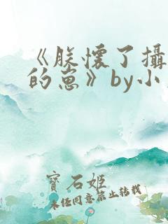 《朕怀了摄政王的崽》by小文旦