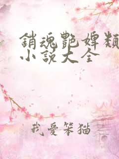 销魂艳婢类似的小说大全