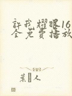 许我耀眼16集全免费播放