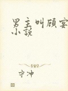 男主叫顾宴清的小说