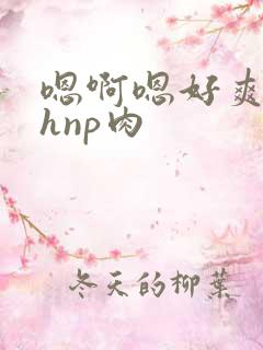 嗯啊嗯好爽啊高hnp肉