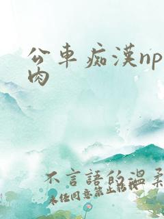 公车痴汉np全肉