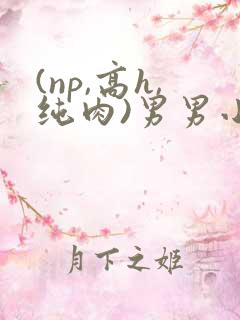(np,高h,纯肉)男男小说