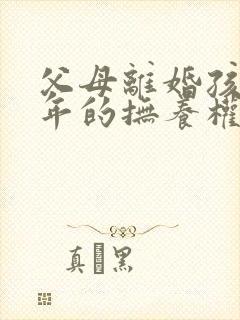 父母离婚孩子成年的抚养权怎么判定