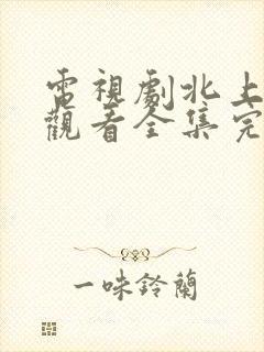 电视剧北上免费观看全集完整版